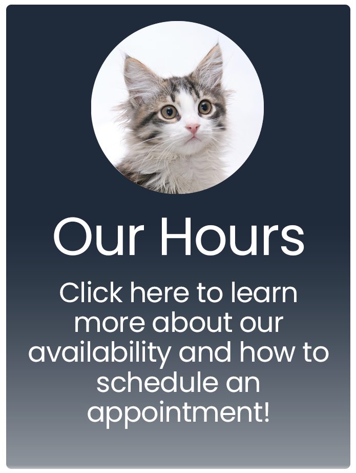 Our Hours Banner