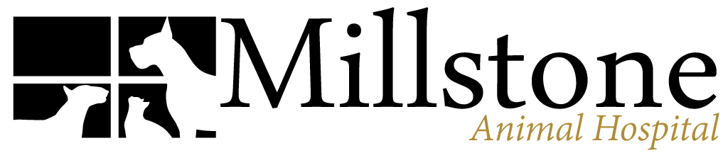 Millstone Animal Hospital Logo
