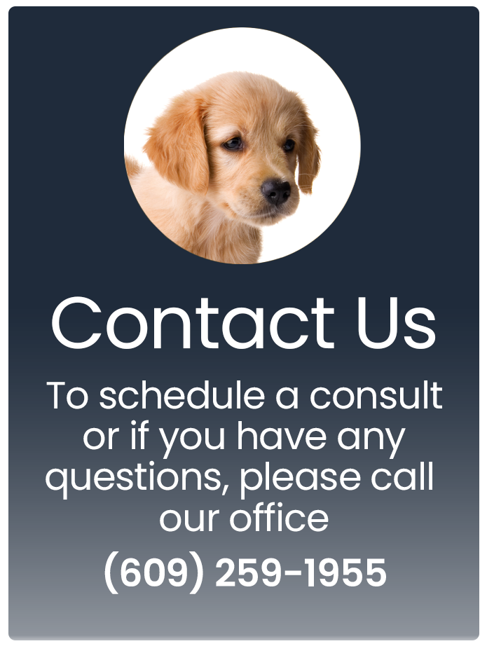 Contact Us Banner